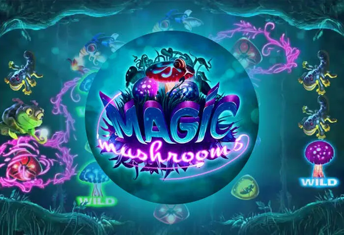 Descubre cómo jugar a los slots de Roibets Casino y maximizar tu diversión.