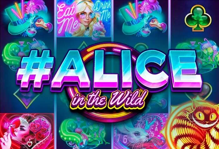 Roibets Casino: i migliori bonus e promozioni esclusive del momento.