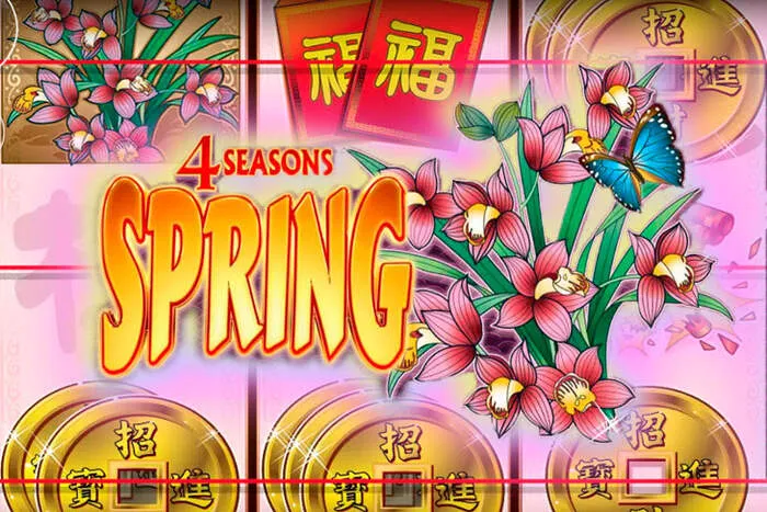 Roibets Casino: latest promotions, bonuses, and player rewards